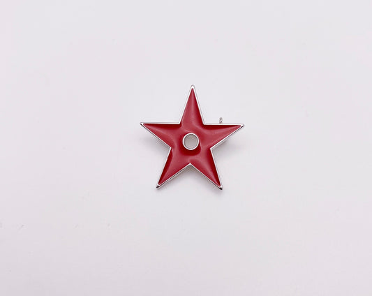 Dior Star Pin